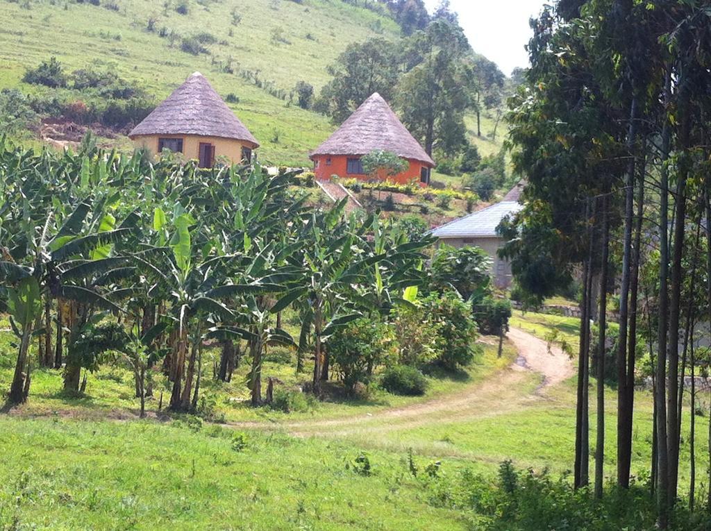 Nyore Hillside Retreat Mbarara Bagian luar foto