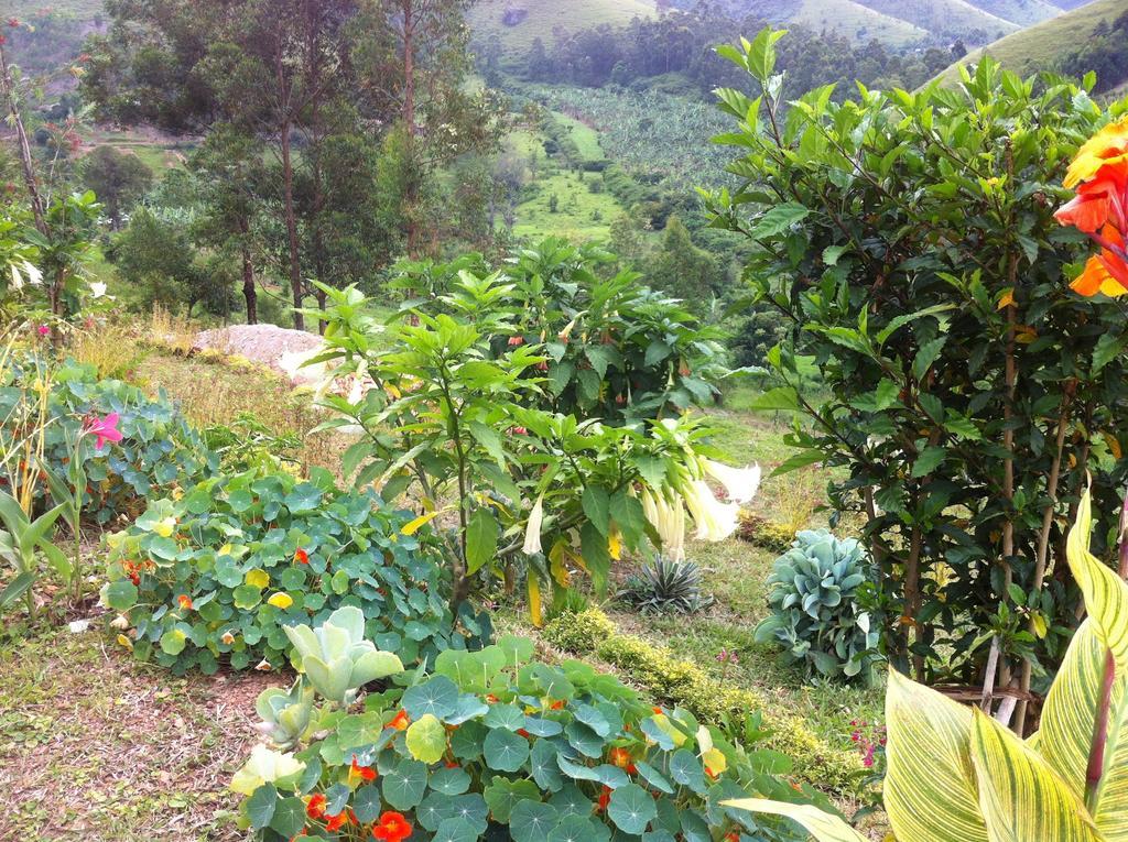 Nyore Hillside Retreat Mbarara Bagian luar foto