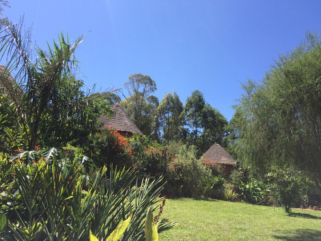 Nyore Hillside Retreat Mbarara Bagian luar foto