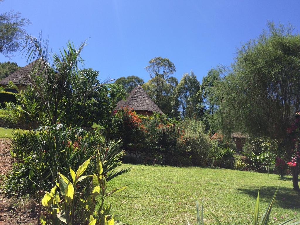 Nyore Hillside Retreat Mbarara Bagian luar foto