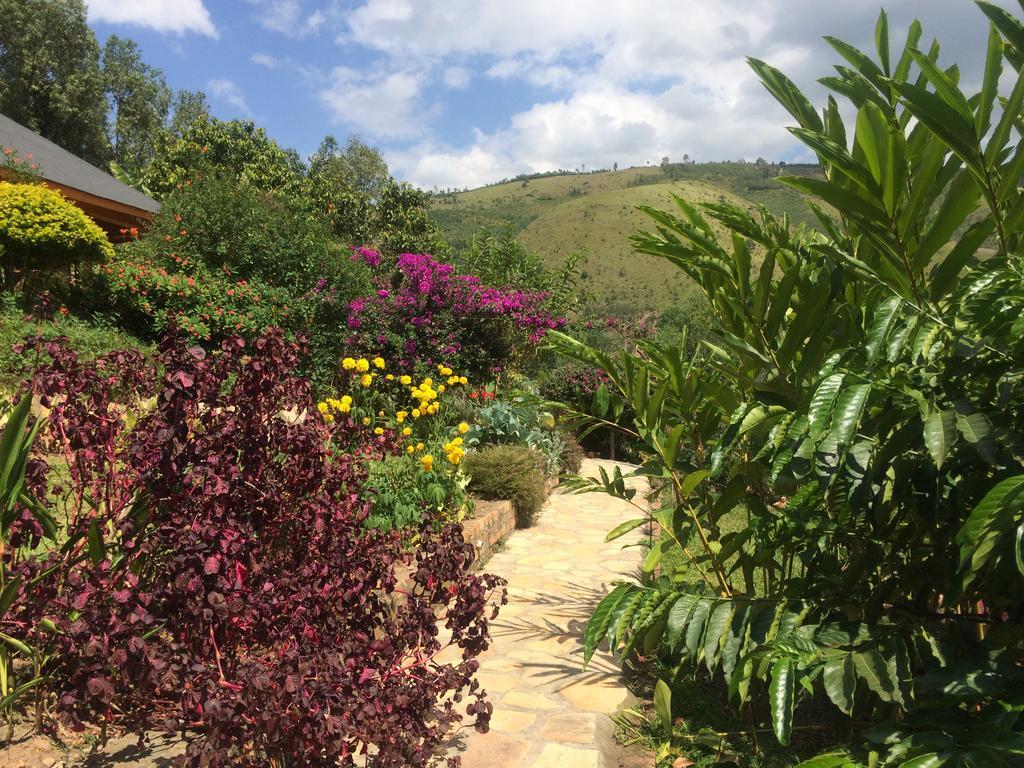 Nyore Hillside Retreat Mbarara Bagian luar foto