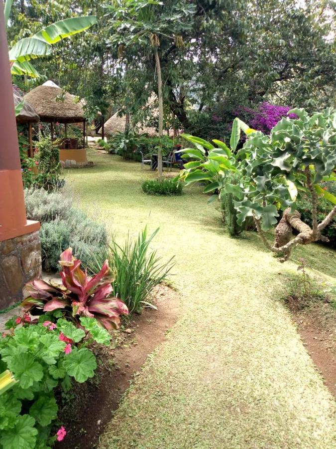 Nyore Hillside Retreat Mbarara Bagian luar foto